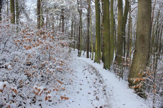 Hiking w Trójmiejskim Parku Krajobrazowym